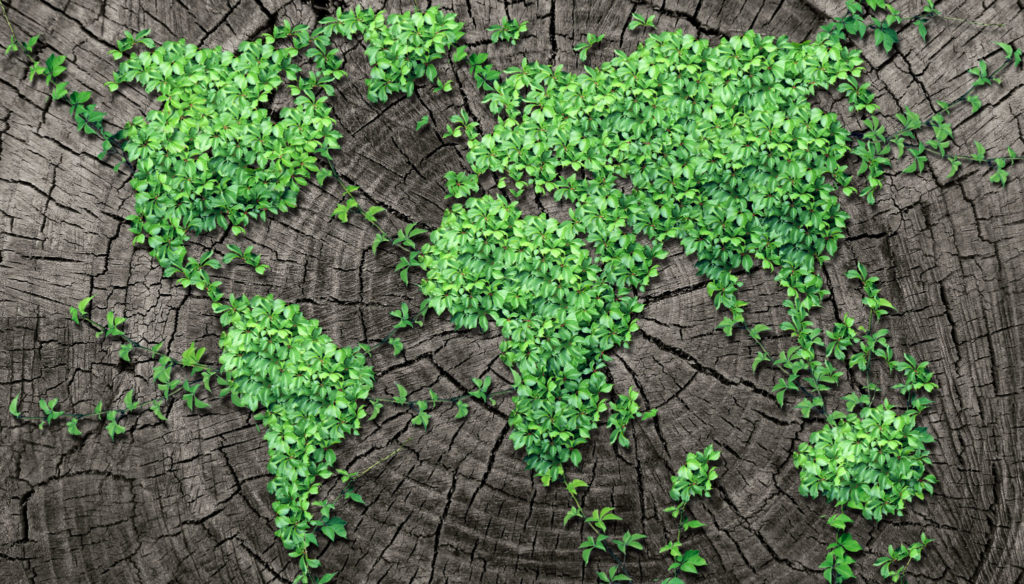sviluppo sostenibile: mondo green
