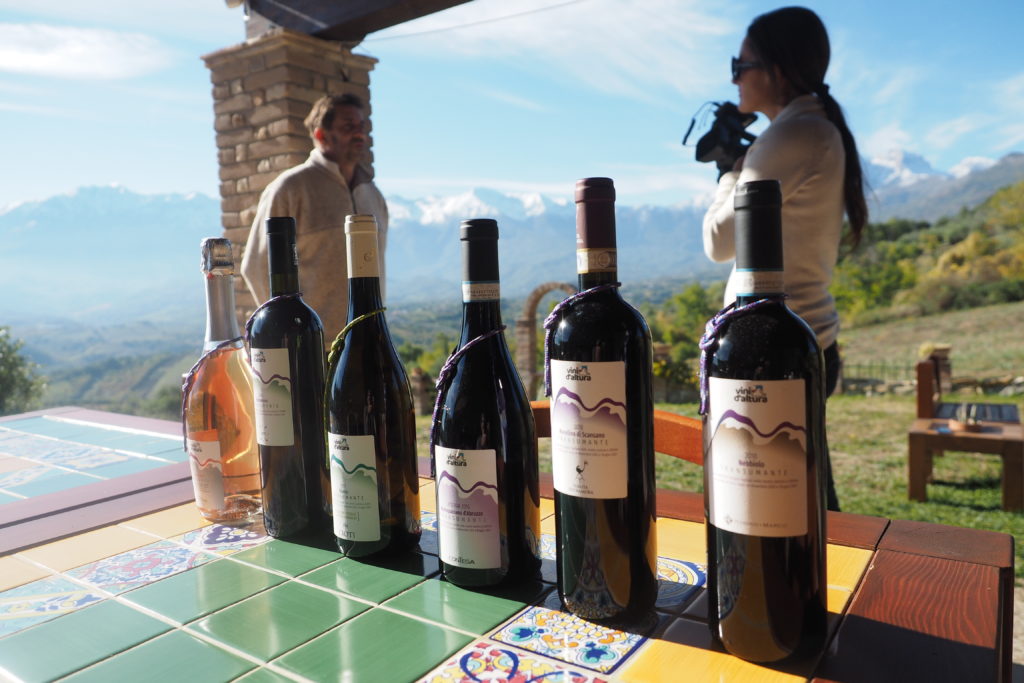 La nuova stagione del turismo del vino al Tg5