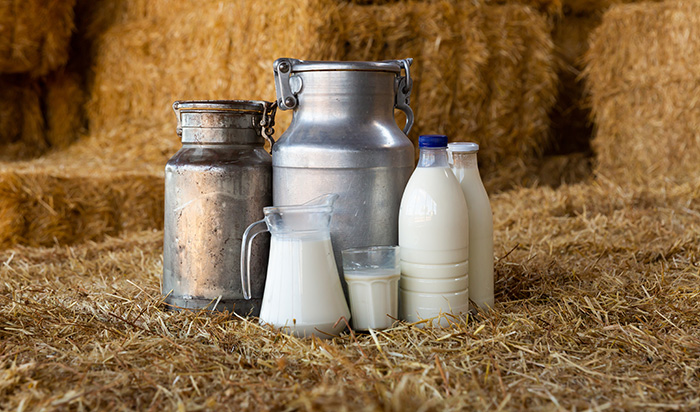 le tendenze del settore lattiero-caseario