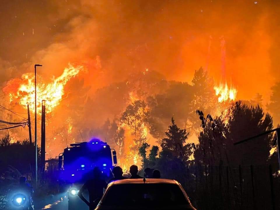 Incendi in Sicilia, subito gli aiuti a imprese e cittadini